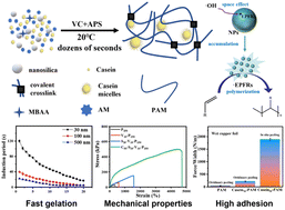 Graphical abstract: In situ rapid synthesis of hydrogels based on a redox initiator and persistent free radicals