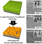 Graphical abstract: Facile synthesis of porous transition metal hydroxides from a poly(4-vinyl pyridine) film by controlling pH
