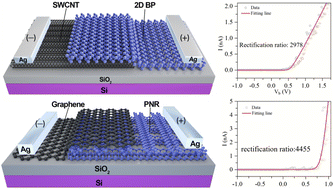 Graphical abstract: High-performance diodes based on black phosphorus/carbon nanomaterial heterostructures