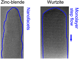 Graphical abstract: Real-time thermal decomposition kinetics of GaAs nanowires and their crystal polytypes on the atomic scale