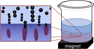 Graphical abstract: Magnetically driven preparation of 1-D nano-necklaces capable of MRI relaxation enhancement