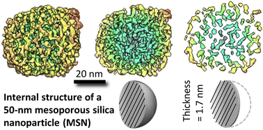 Graphical abstract: Insights into the 3D permeable pore structure within novel monodisperse mesoporous silica nanoparticles by cryogenic electron tomography