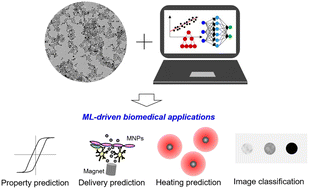 Graphical abstract: Machine learning assisted-nanomedicine using magnetic nanoparticles for central nervous system diseases