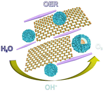 Graphical abstract: High-performance flower-like and biocompatible nickel-coated Fe3O4@SiO2 magnetic nanoparticles decorated on a graphene electrocatalyst for the oxygen evolution reaction