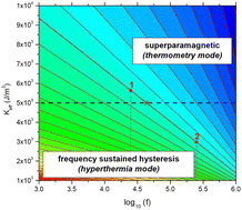 Graphical abstract: Multifunctional effects in magnetic nanoparticles for precision medicine: combining magnetic particle thermometry and hyperthermia