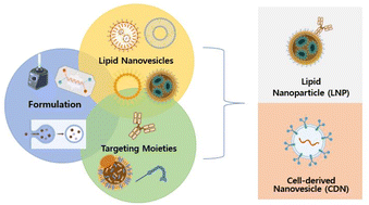 Graphical abstract: Strategies for targeted gene delivery using lipid nanoparticles and cell-derived nanovesicles