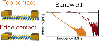 Graphical abstract: Edge contacts accelerate the response of MoS2 photodetectors