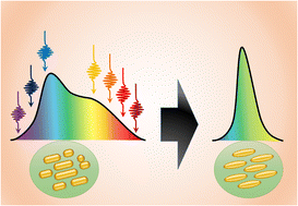 Graphical abstract: Tunable-wavelength nanosecond laser tailoring of plasmon resonance spectra of gold nanoparticle colloids