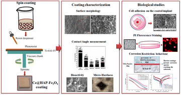 Graphical abstract: In situ fabrication of cerium-incorporated hydroxyapatite/magnetite nanocomposite coatings with bone regeneration and osteosarcoma potential