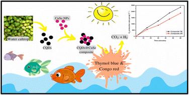 Graphical abstract: Revolutionizing fuel production through biologically synthesized zero-dimensional nanoparticles