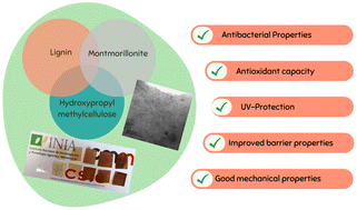 Graphical abstract: Effect of the combined addition of ultrasonicated kraft lignin and montmorillonite on hydroxypropyl methylcellulose bionanocomposites