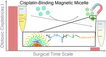 Graphical abstract: Chelate-functionalized magnetic micelles for sequestration of cisplatin