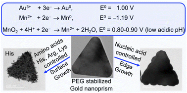 Graphical abstract: Seed free synthesis of polyethylene glycol stabilized gold nanoprisms exploiting manganese metal at low pH