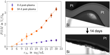 Graphical abstract: Consolidation and performance gains in plasma-sintered printed nanoelectrodes