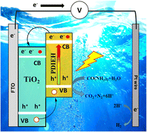 Graphical abstract: A TiO2 nanorod and perylene diimide based inorganic/organic nanoheterostructure photoanode for photoelectrochemical urea oxidation