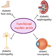 Graphical abstract: Functional nucleic acids for the treatment of diabetic complications