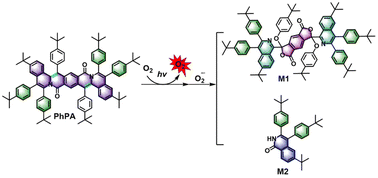 Graphical abstract: Synthesis and properties of novel type I photosensitizer polycyclic amide