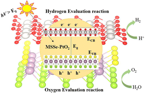 Graphical abstract: Tunable electronic structures, Rashba splitting, and optical and photocatalytic responses of MSSe-PtO2 (M = Mo, W) van der Waals heterostructures