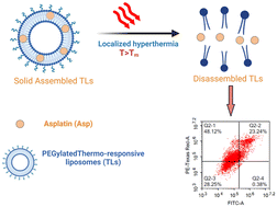 Graphical abstract: Box–Behnken design of thermo-responsive nano-liposomes loaded with a platinum(iv) anticancer complex: evaluation of cytotoxicity and apoptotic pathways in triple negative breast cancer cells