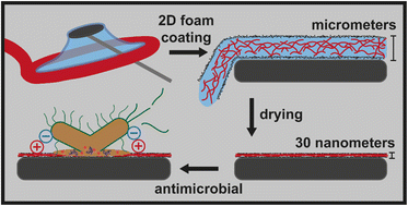 Graphical abstract: 2D foam film coating of antimicrobial lysozyme amyloid fibrils onto cellulose nanopapers