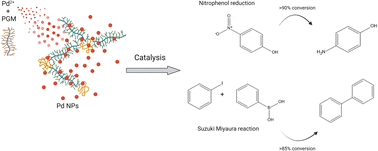 Graphical abstract: One-pot green bio-assisted synthesis of highly active catalytic palladium nanoparticles in porcine gastric mucin for environmental applications