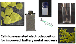 Graphical abstract: Cellulose nanofibers (CNFs) in the recycling of nickel and cadmium battery metals using electrodeposition