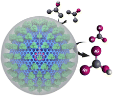 Graphical abstract: Nanobiocatalysts with inbuilt cofactor recycling for oxidoreductase catalysis in organic solvents