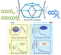 Graphical abstract: Rapid and sensitive detection of alkaline phosphatase and glucose oxidase activity through fluorescence and colorimetric dual-mode analysis based on CuO NPs@ZIF-8 mediated enzyme-cascade reactions