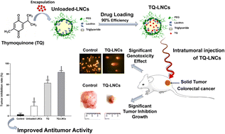 Graphical abstract: Thymoquinone-loaded lipid nanocapsules with promising anticancer activity for colorectal cancer