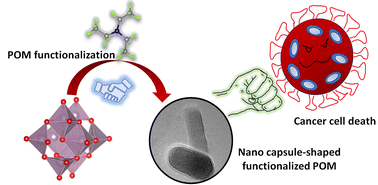 Graphical abstract: A polyoxomolybdate-based hybrid nano capsule as an antineoplastic agent