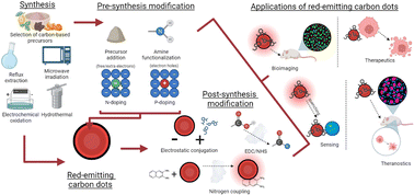 Graphical abstract: Red emitting carbon dots: surface modifications and bioapplications