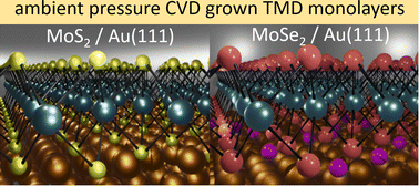 Graphical abstract: Structural and electronic properties of MoS2 and MoSe2 monolayers grown by chemical vapor deposition on Au(111)