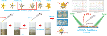 Graphical abstract: Differences between surfactant-free Au@Ag and CTAB-stabilized Au@Ag star-like nanoparticles in the preparation of nanoarrays to improve their surface-enhanced Raman scattering (SERS) performance