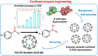 Graphical abstract: Protein engineering of multi-enzyme virus-like particle nanoreactors for enhanced chiral alcohol synthesis