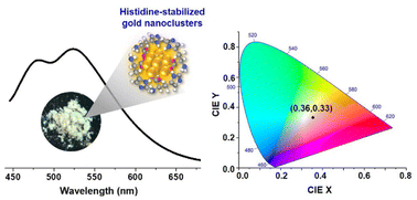 Graphical abstract: Dual-emissive solid-state histidine-stabilized gold nanoclusters for applications in white-light generation