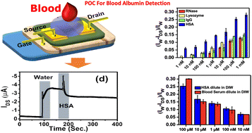 Graphical abstract: Precise and rapid point-of-care quantification of albumin levels in unspiked blood using organic field-effect transistors
