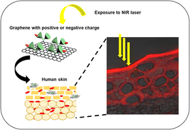 Graphical abstract: Efficient skin interactions of graphene derivatives: challenge, opportunity or both?
