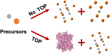 Graphical abstract: Formation of intermetallic PdIn nanoparticles: influence of surfactants on nanoparticle atomic structure