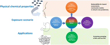 Graphical abstract: Critical aspects in dissolution testing of nanomaterials in the oro-gastrointestinal tract: the relevance of juice composition for hazard identification and grouping