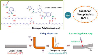 Graphical abstract: Development of NIR light-responsive shape memory composites based on bio-benzoxazine/bio-urethane copolymers reinforced with graphene