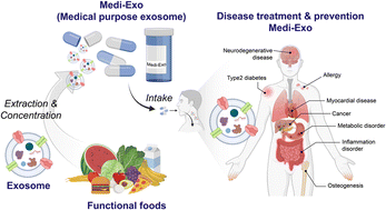 Graphical abstract: The emerging role of medical foods and therapeutic potential of medical food-derived exosomes