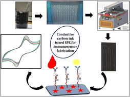 Graphical abstract: Nano-modified screen-printed electrode-based electrochemical immunosensors for oral cancer biomarker detection in undiluted human serum and saliva samples