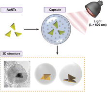 Graphical abstract: Three-dimensional building of anisotropic gold nanoparticles under confinement in submicron capsules