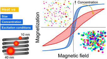 Graphical abstract: Influence of size, volume concentration and aggregation state on magnetic nanoparticle hyperthermia properties versus excitation conditions