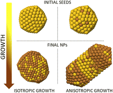 Graphical abstract: Growth pathways of Cu shells on Au and AuCu seeds: interdiffusion, shape transformations, strained shells and patchy surfaces