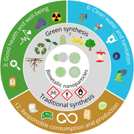 Graphical abstract: Green synthesis trends and potential applications of bimetallic nanoparticles towards the sustainable development goals 2030