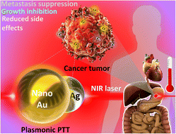 Graphical abstract: Plasmonic porous micro- and nano-materials based on Au/Ag nanostructures developed for photothermal cancer therapy: challenges in clinicalization