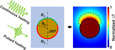 Graphical abstract: Regulating nanoscale directional heat transfer with Janus nanoparticles