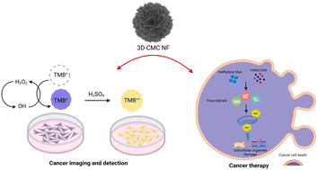 Graphical abstract: A self-assembled three-dimensional hierarchical nanoflower: an efficient enzyme-mimetic material for cancer cell detection that improves ROS generation for therapy