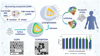 Graphical abstract: Poly(glycerol monomethacrylate)-encapsulated upconverting nanoparticles prepared by miniemulsion polymerization: morphology, chemical stability, antifouling properties and toxicity evaluation
